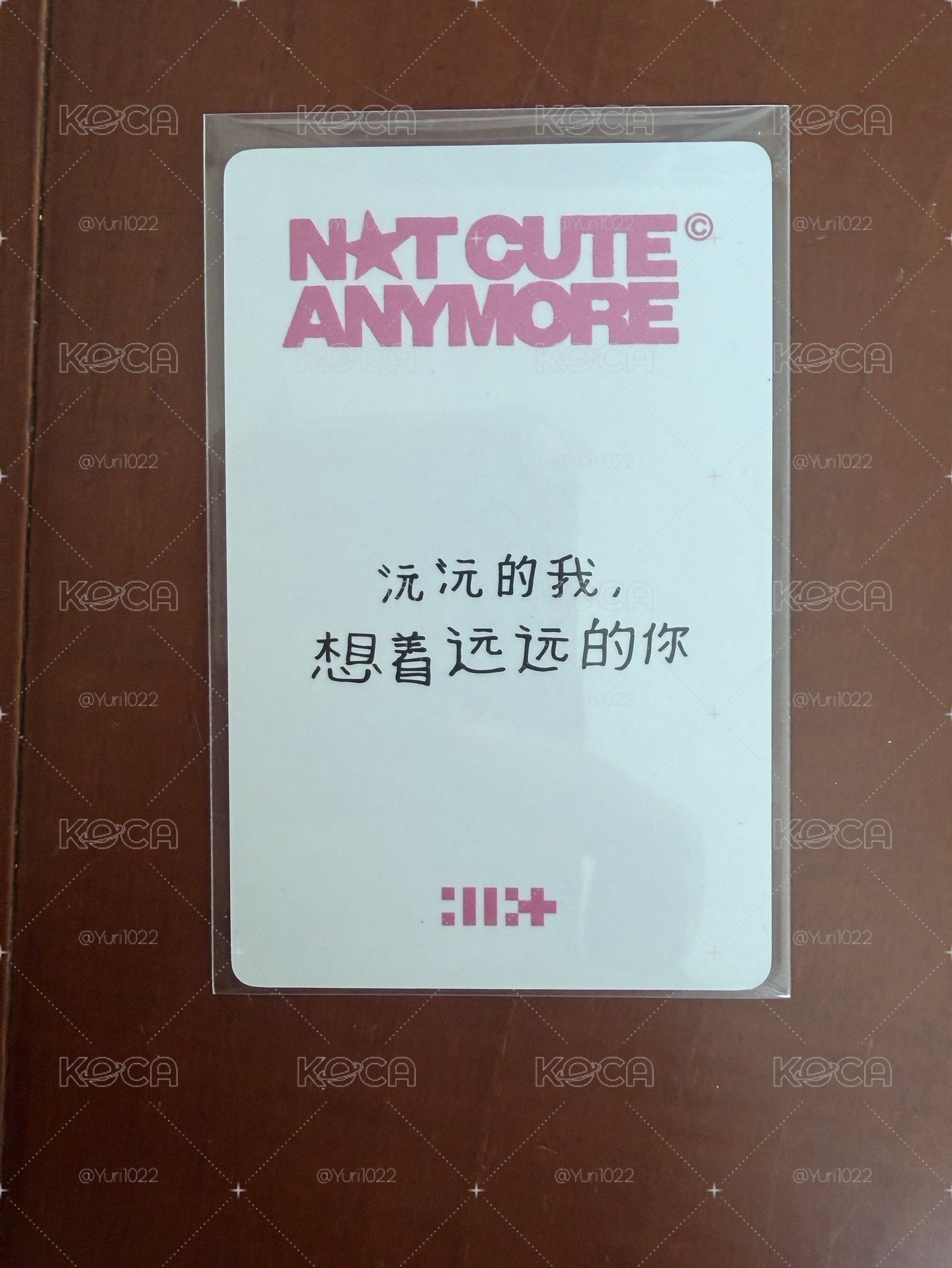 沅禧 NOT CUTE ANYMORE yzy 預售2.0 特典卡 中背