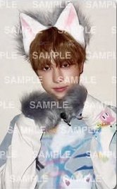 🐺🐾-🐣主人快帶我走
