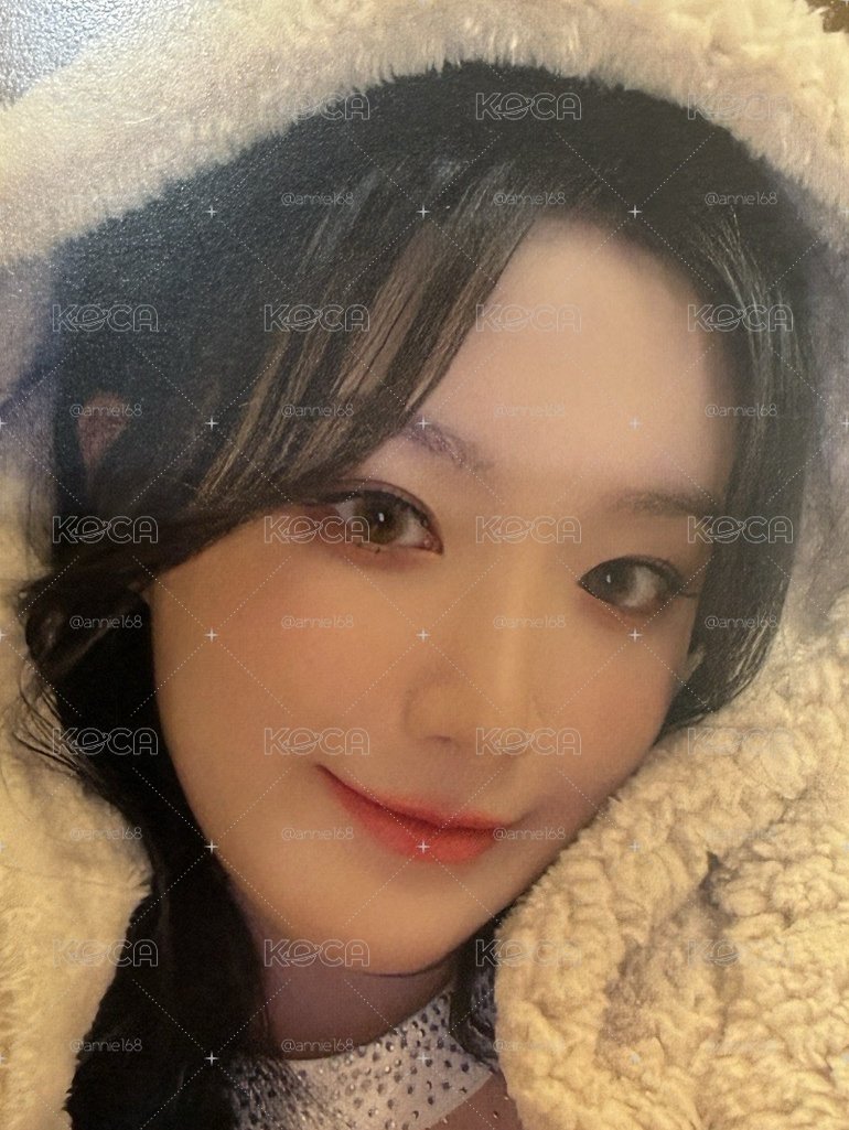 毛毯刷
