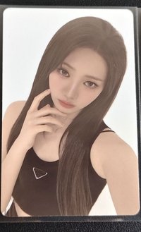 春日白底