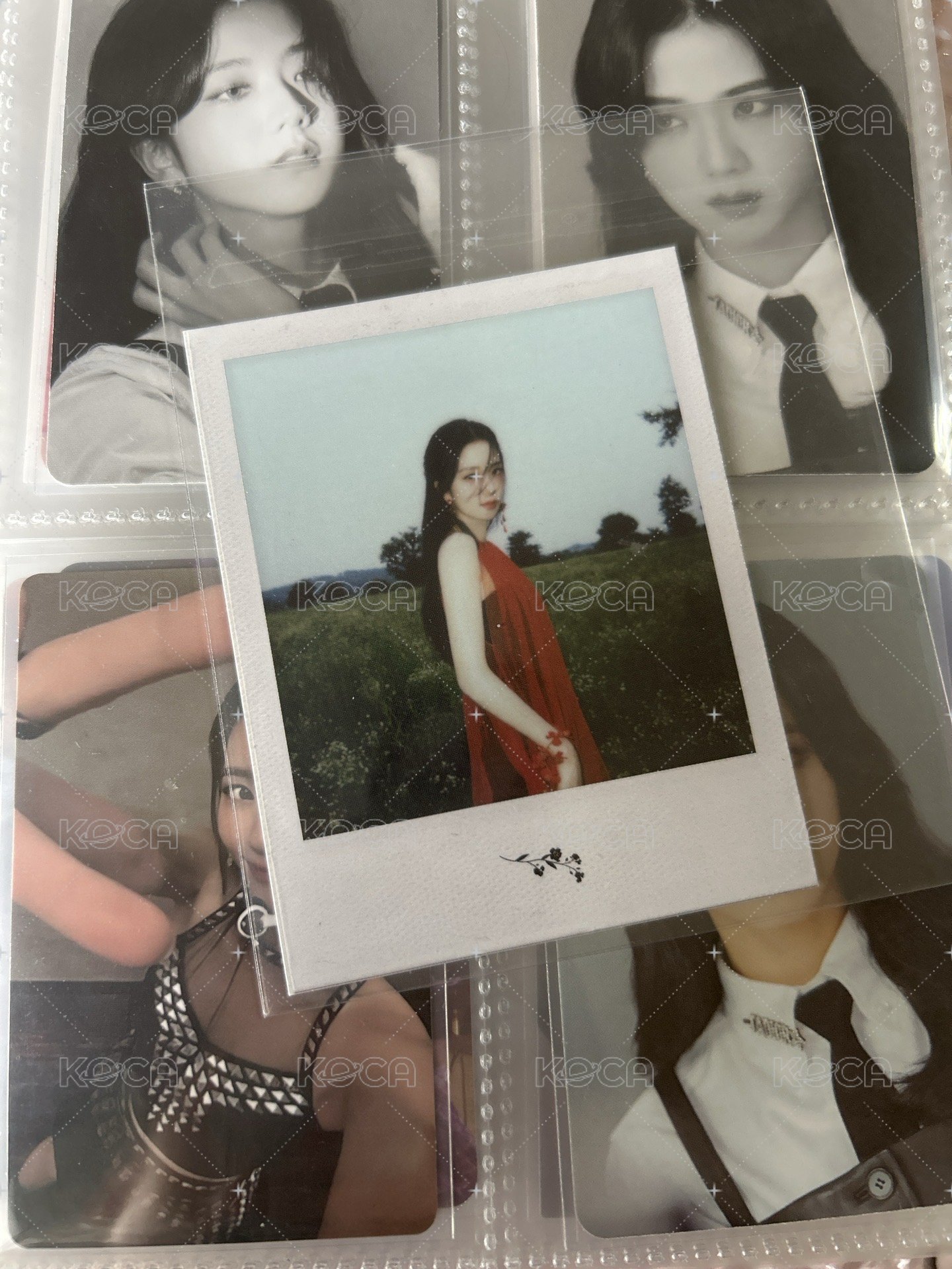 草地拍立得❤️