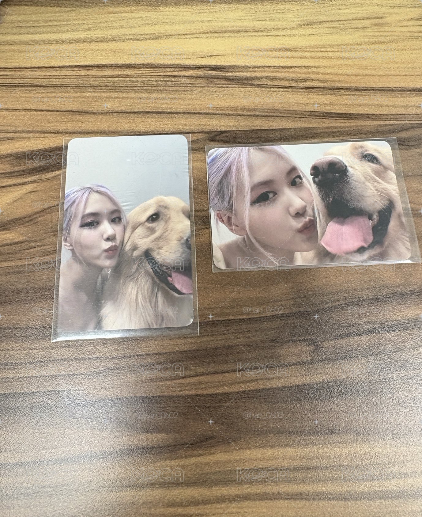 BLACKPINK  狗狗肉一組