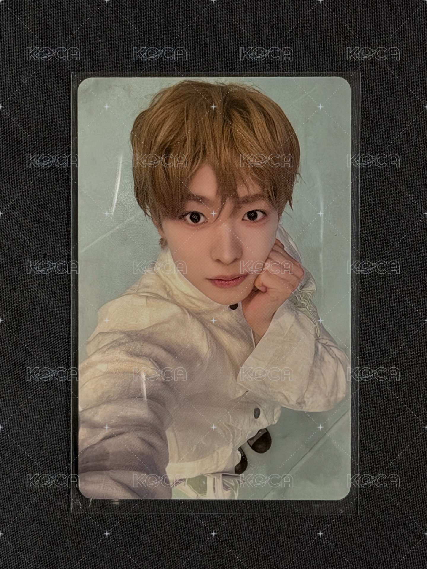 志