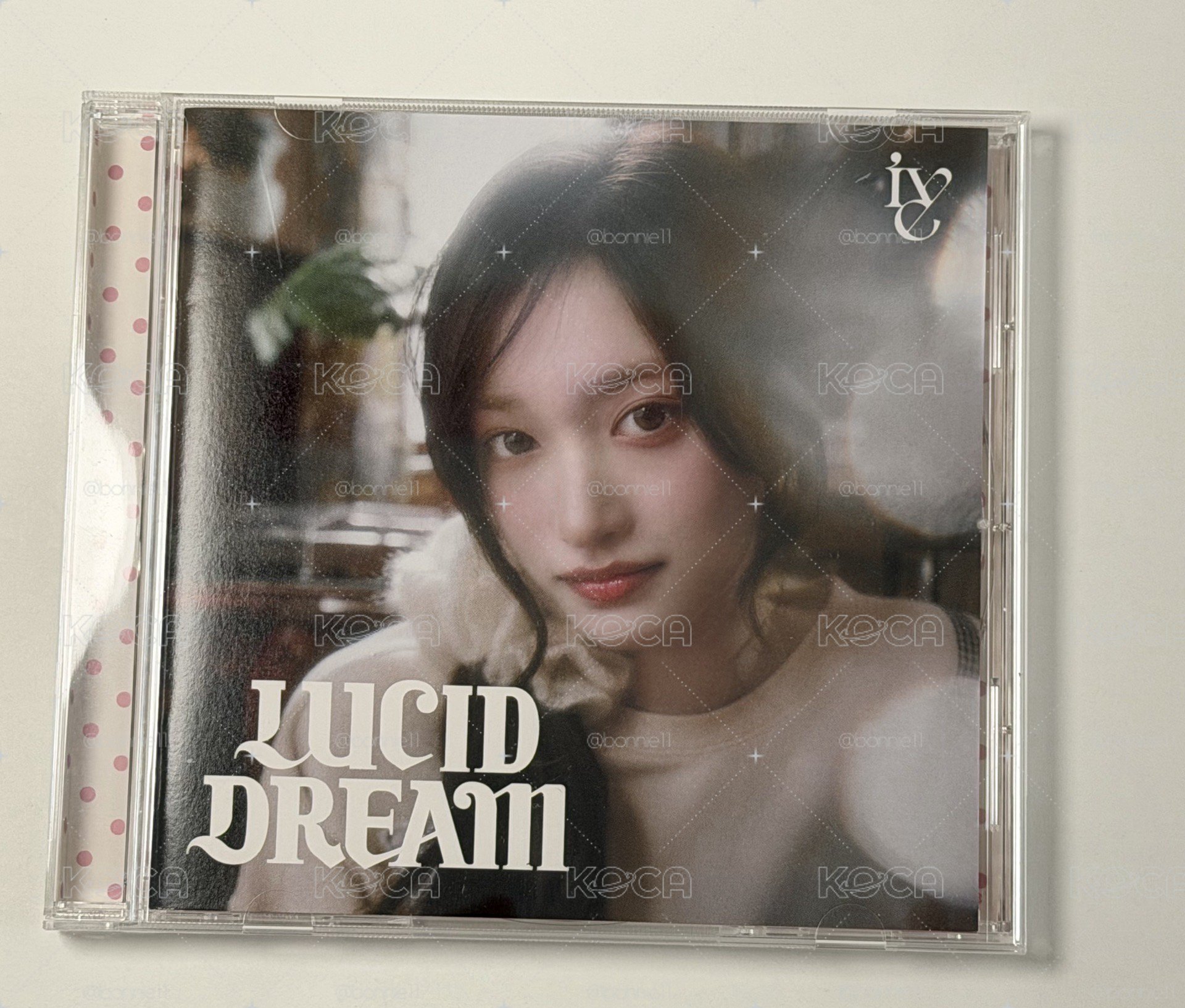 瑞盤