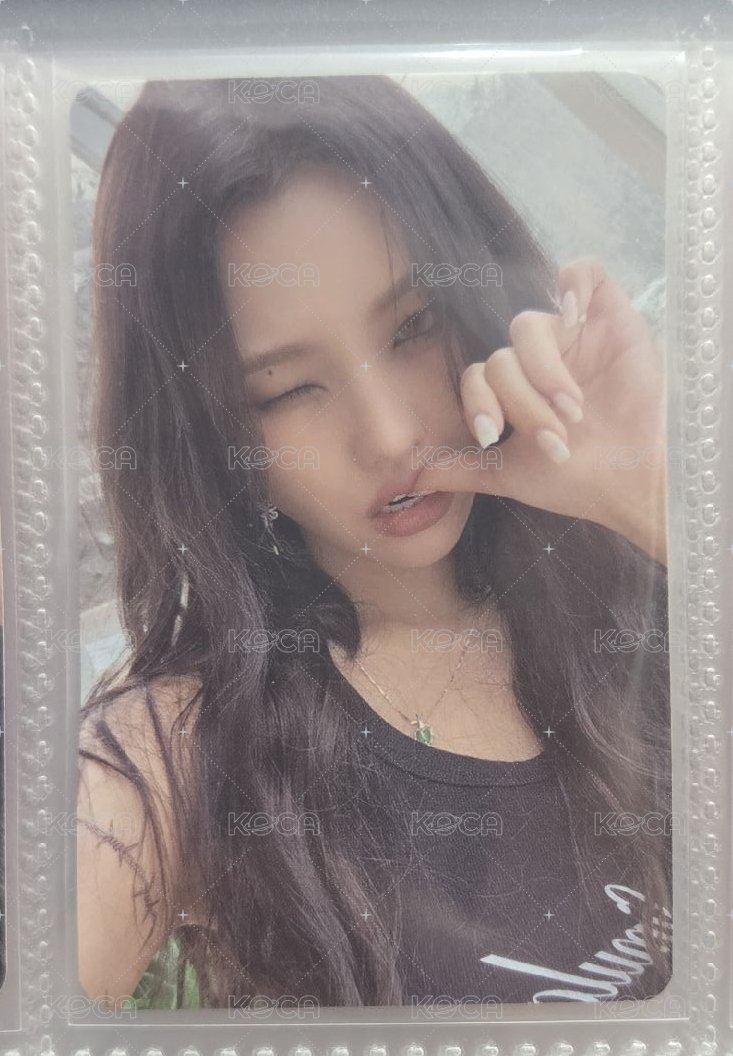 I feel貓版專卡