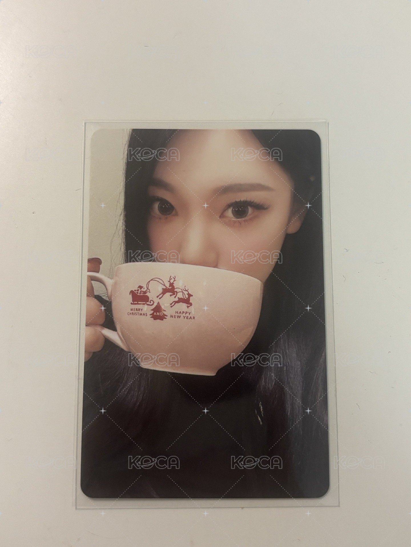24聖誕寧