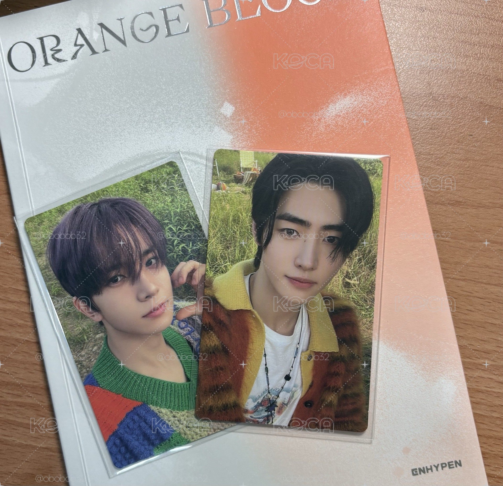 ENHYPEN orange blood朴成訓單封全專