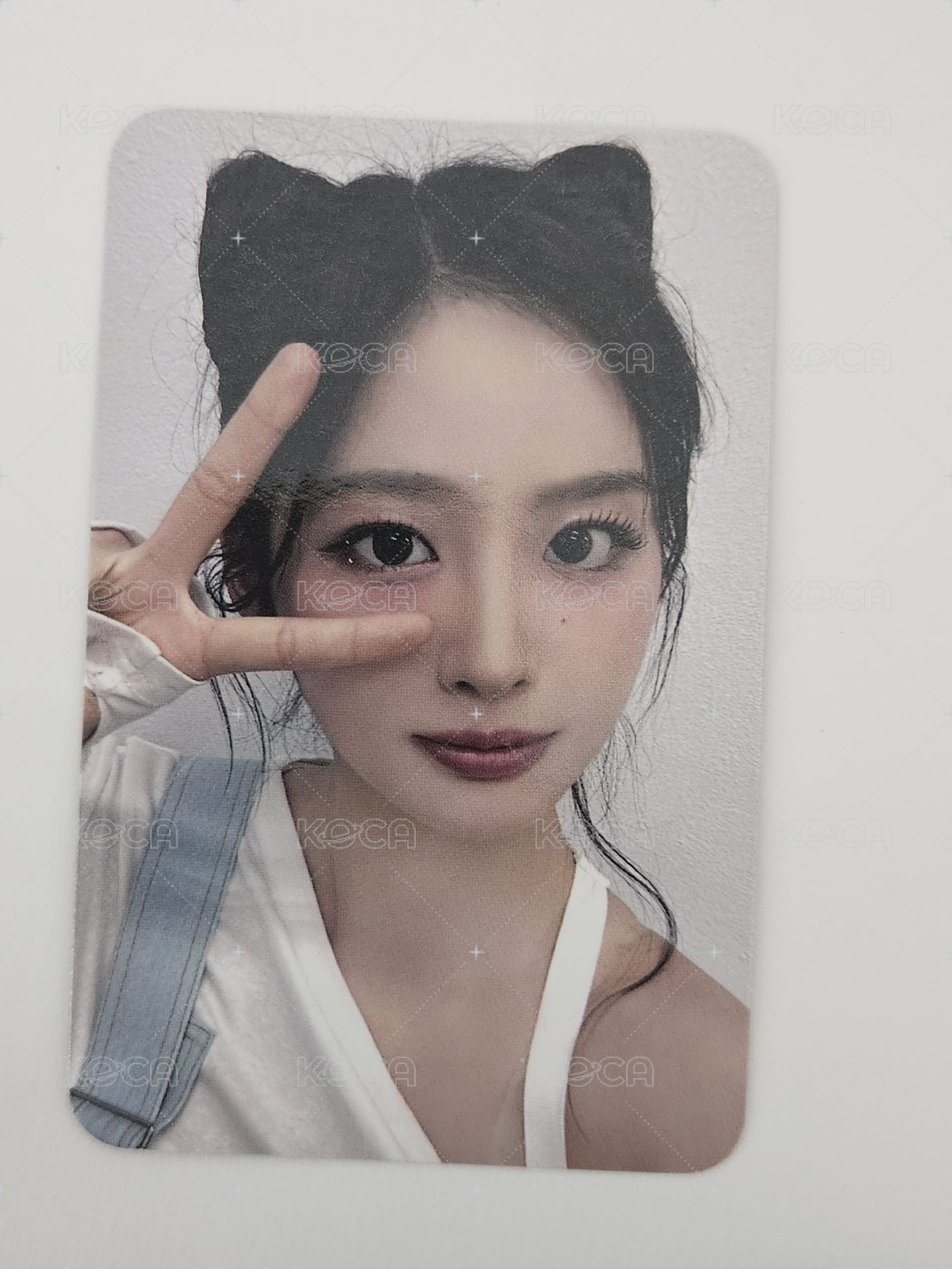 貓耳薛