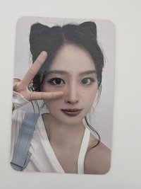 貓耳薛