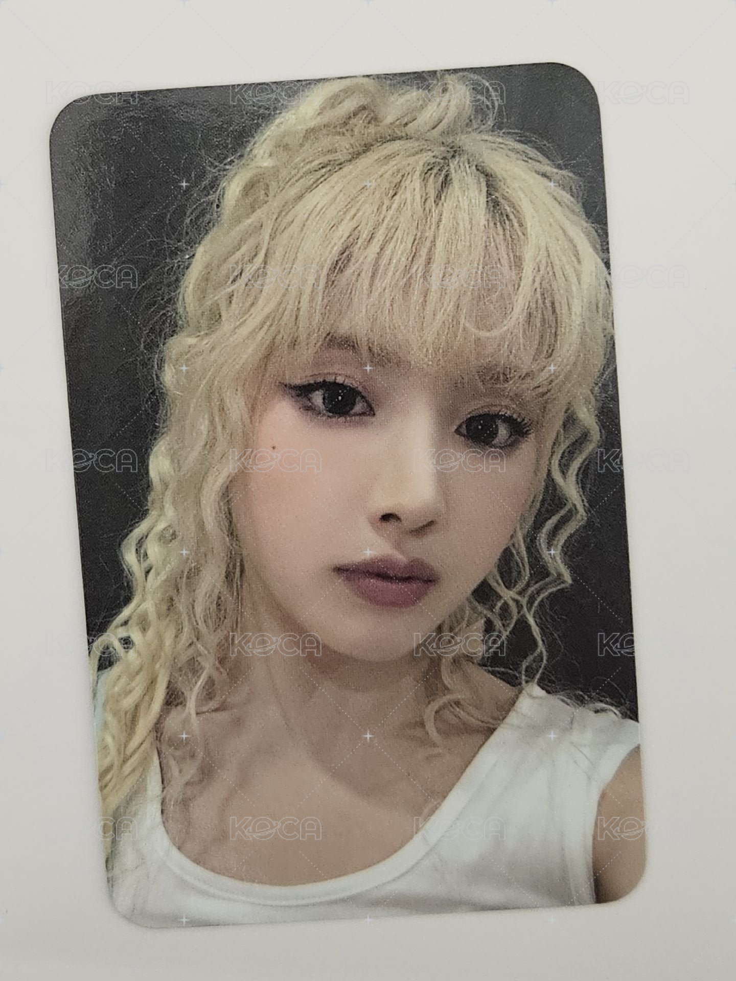 捲毛狗狗友