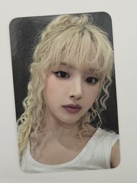 捲毛狗狗友