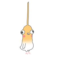 鳥鳥