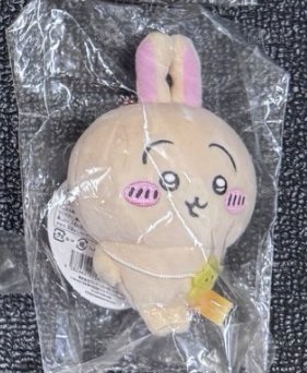 出遊兔 有瑕