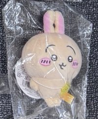 出遊兔 有瑕
