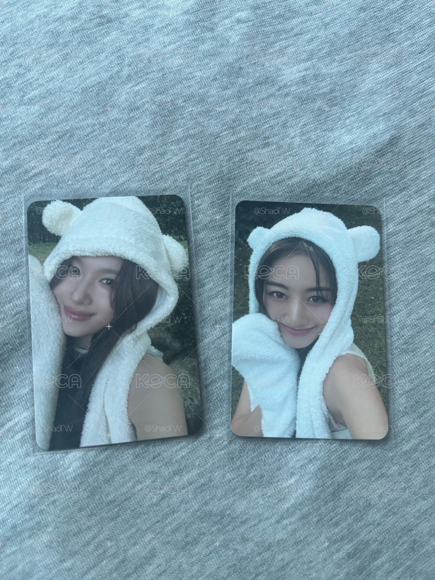 熊帽莎效