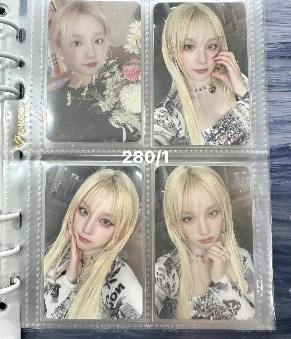 仙女樹 金髮琦特典