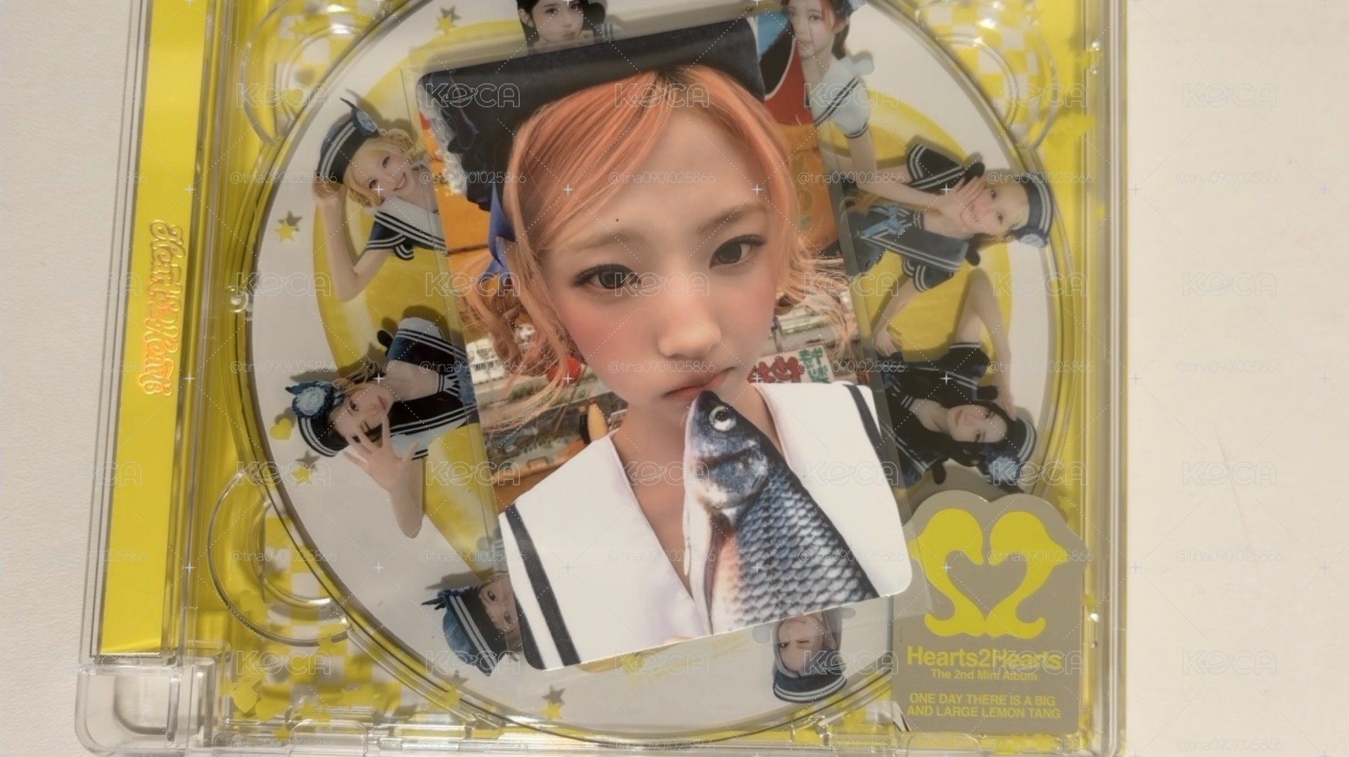 lemon tang jc全專
