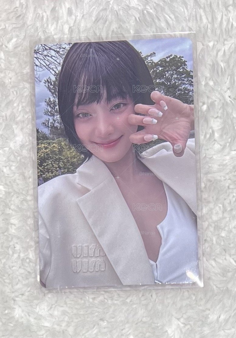 80元米妮專輯卡
