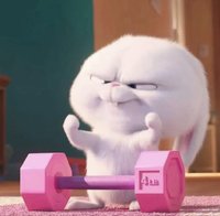 uniccy