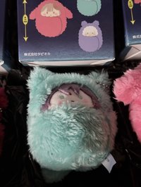 彩葉
