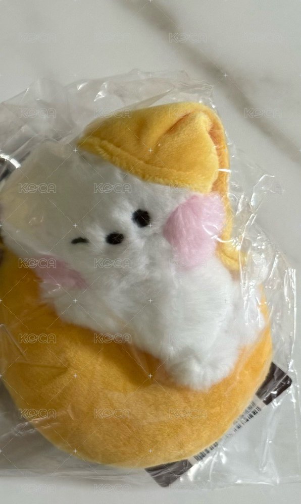RJ