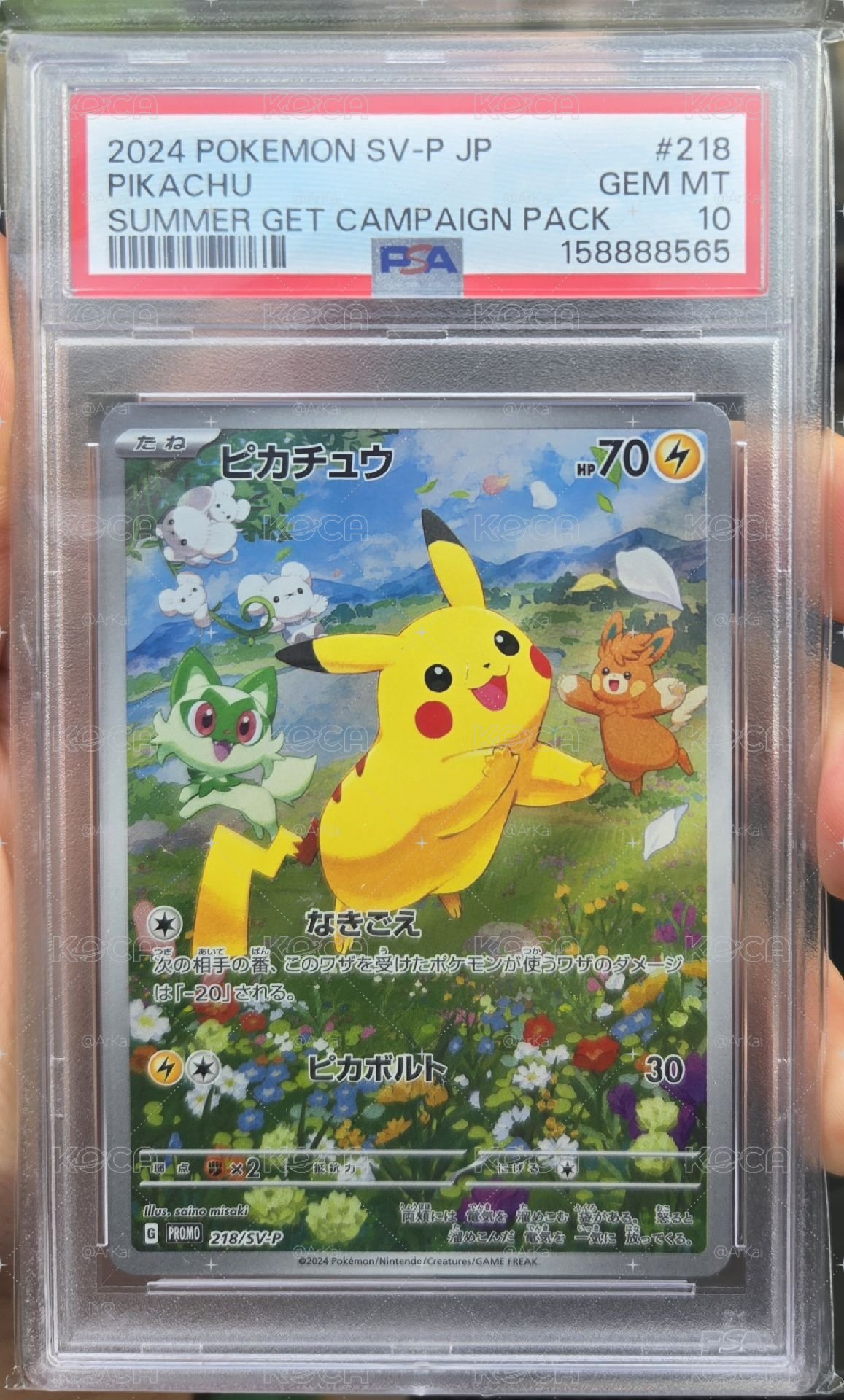 夏日皮卡丘