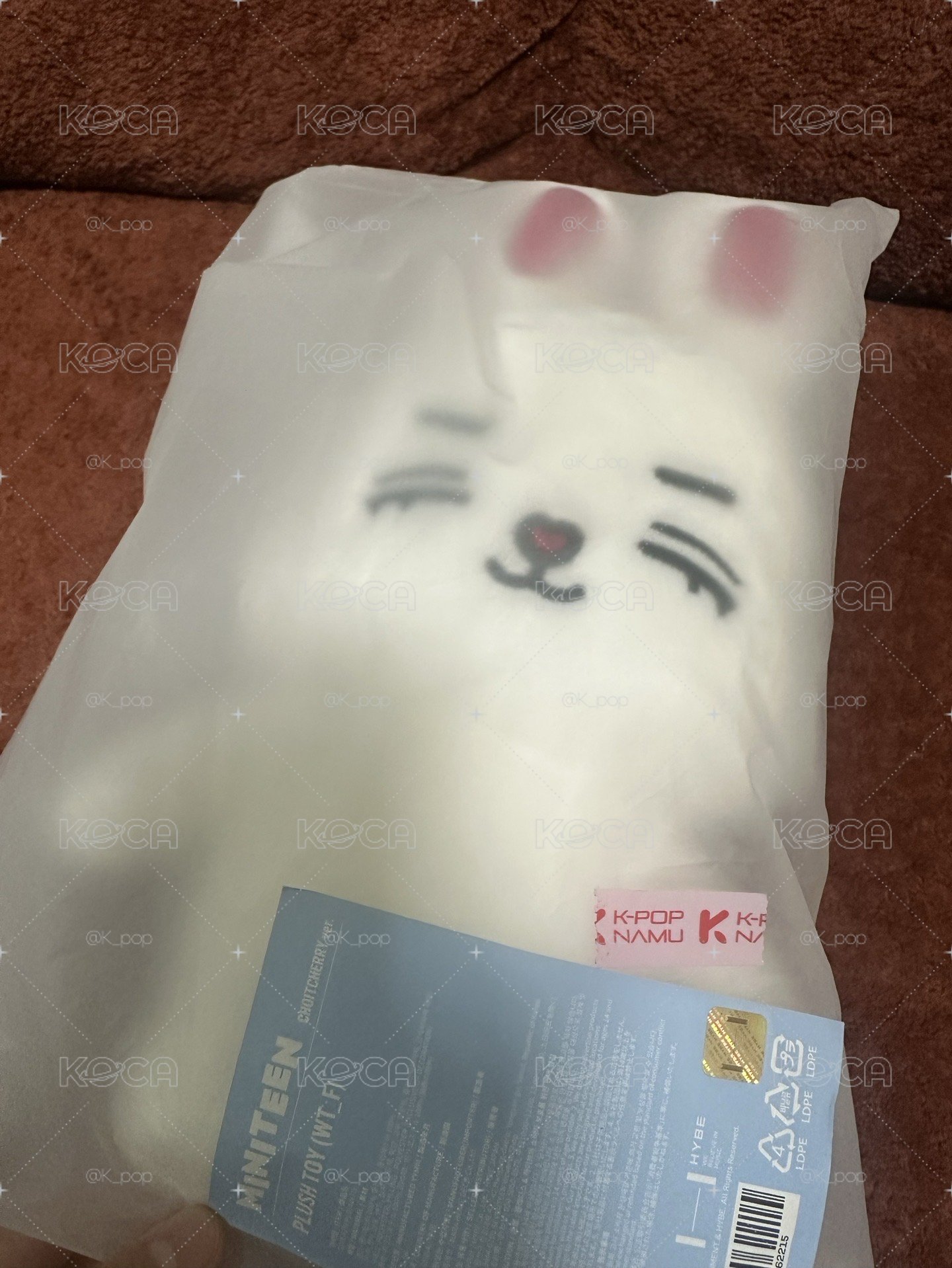 現貨～SEVENTEEN miniteeen站姿娃娃&束口袋&手燈套&卡套 皆單出不用綁