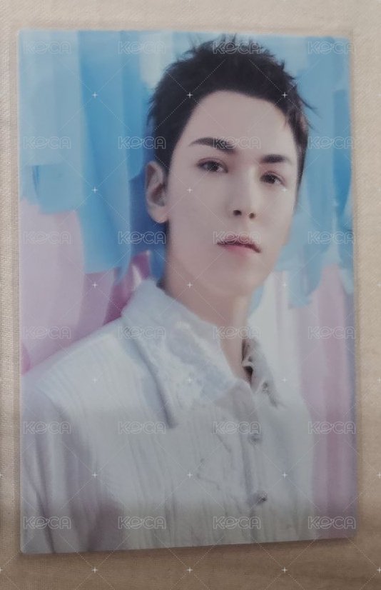 Vernon 