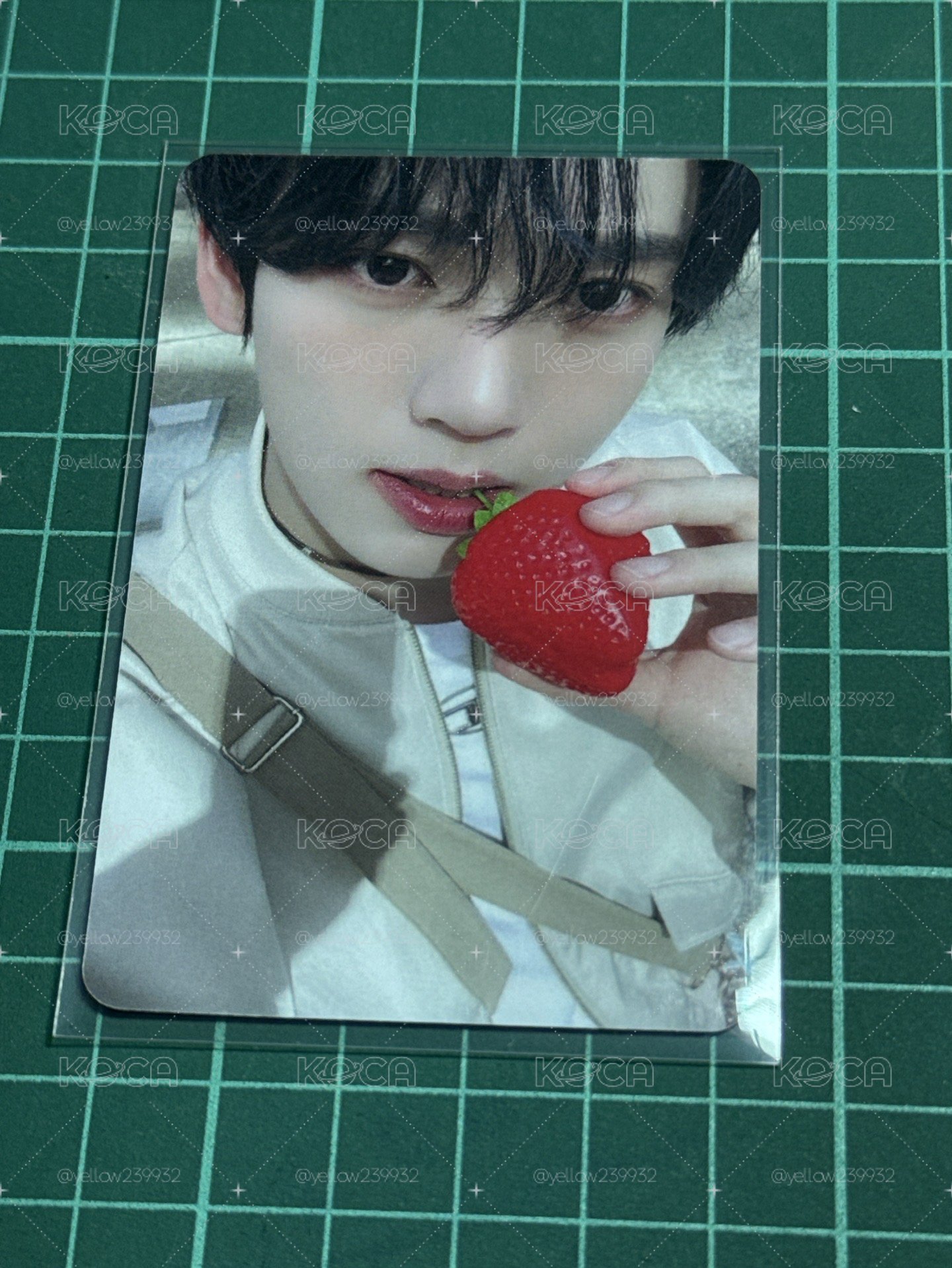 🍓維辰