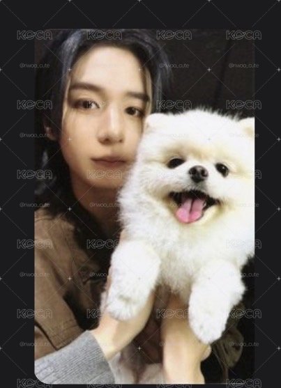 🏠李涵小卡