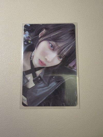 上岸冬