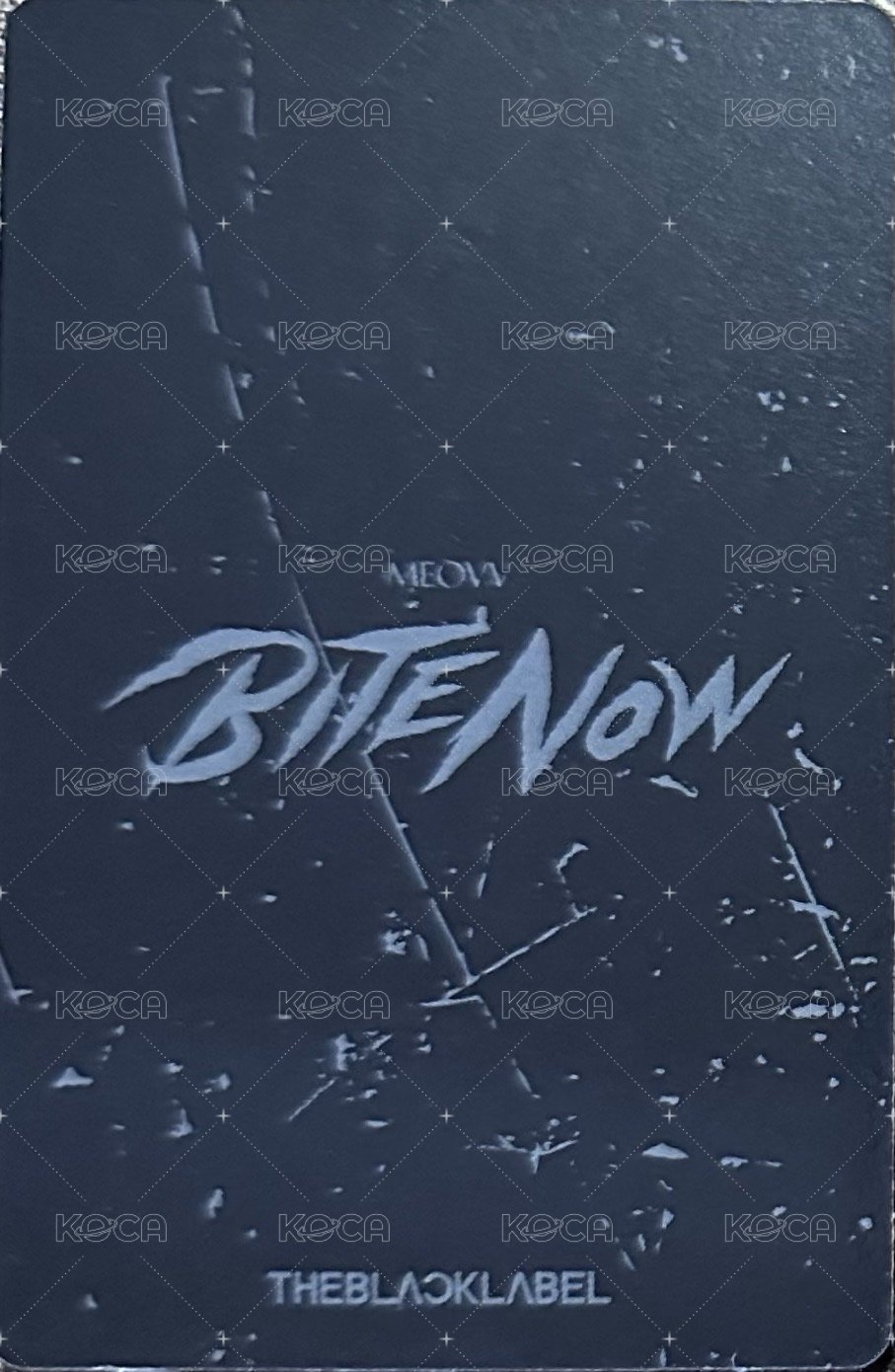 BITE NOW 棒球帽 周邊卡  背面