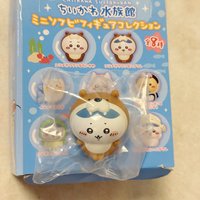 海狸小八
