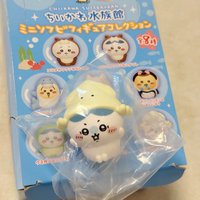 魷魚小八