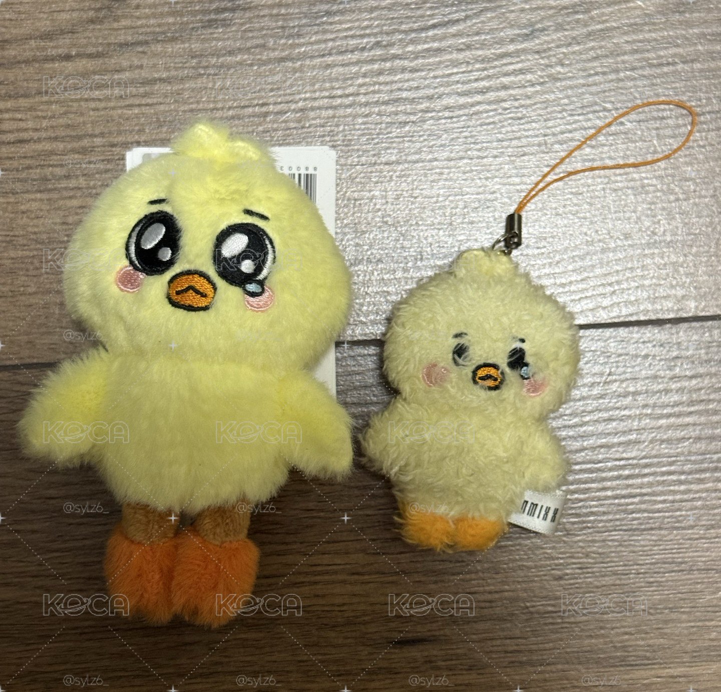 飯咪裴大小娃