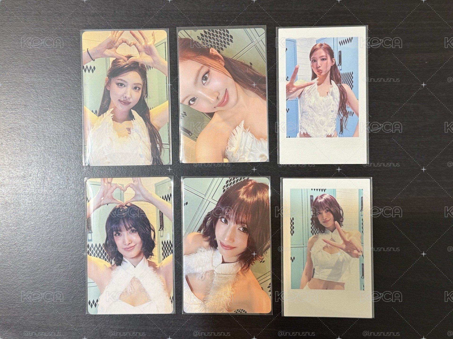 TWICE 六巡 fans 仁川場 DVD/藍光 特典卡 小卡 拍立得