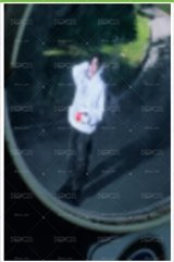 特典禹