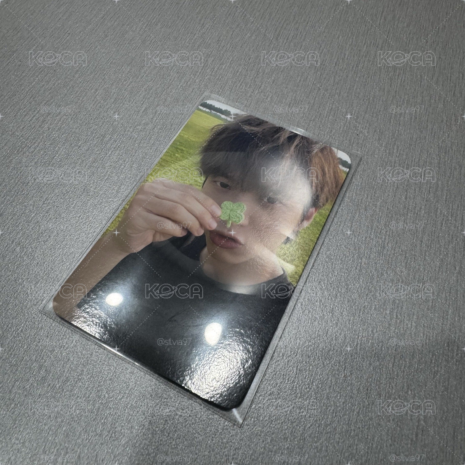 Tree Ring wm 幸運卡 小卡 特典卡