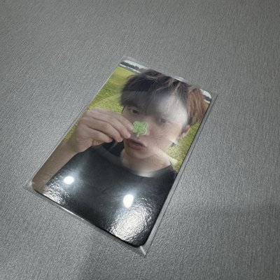 Tree Ring wm 幸運卡 小卡 特典卡