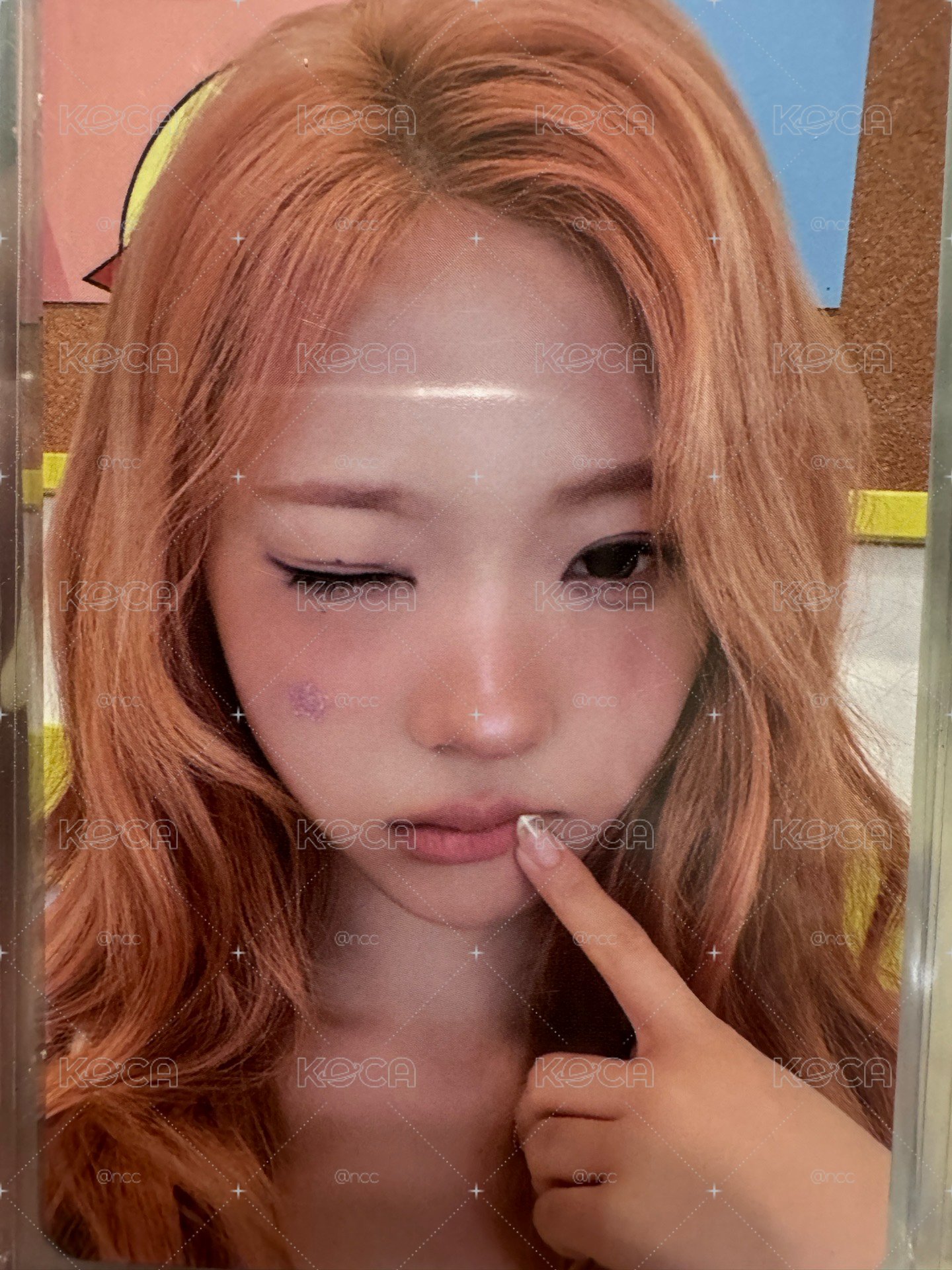 Stella NY預售現貨