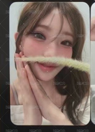 狗尾草