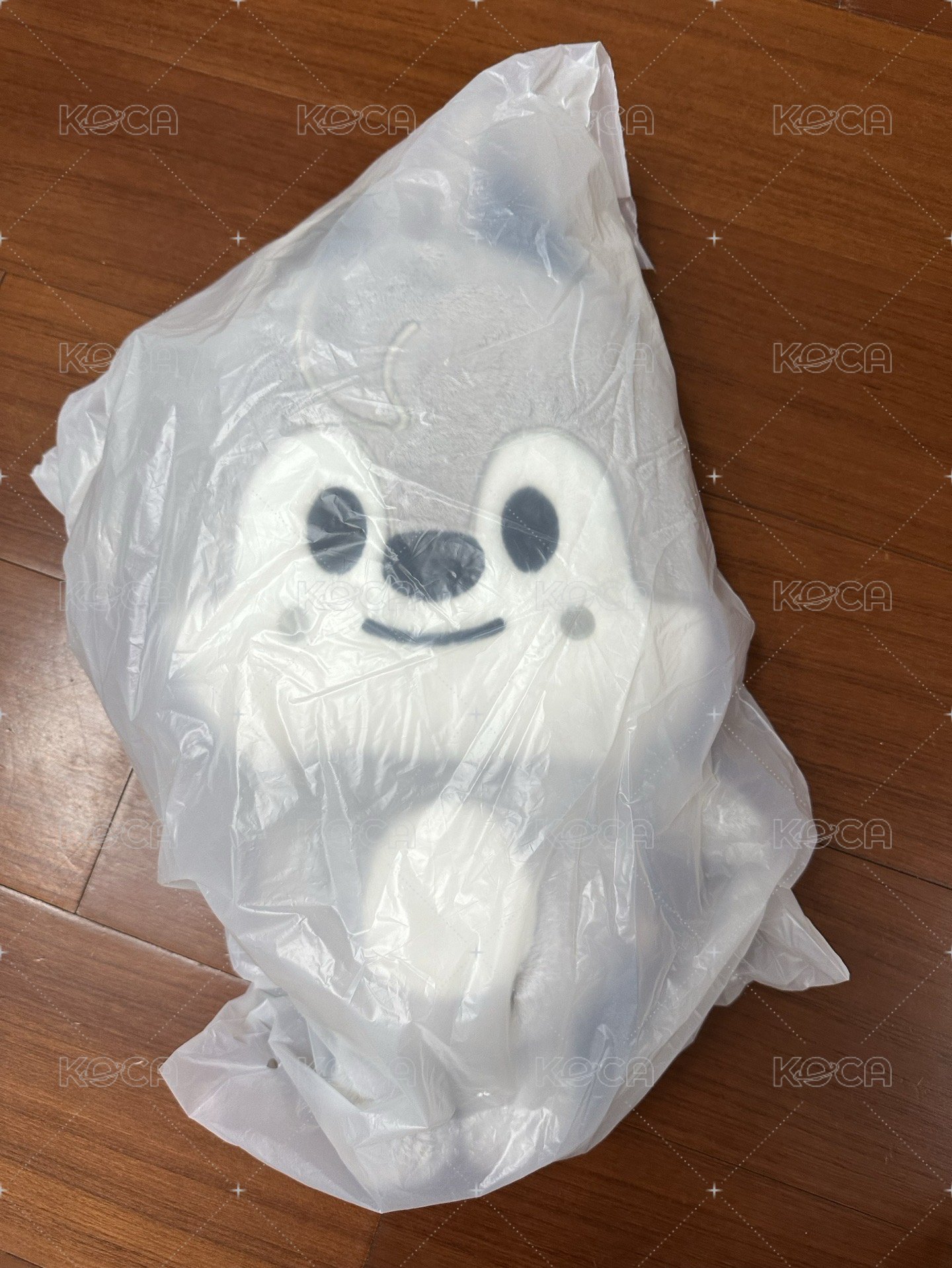 燦狼