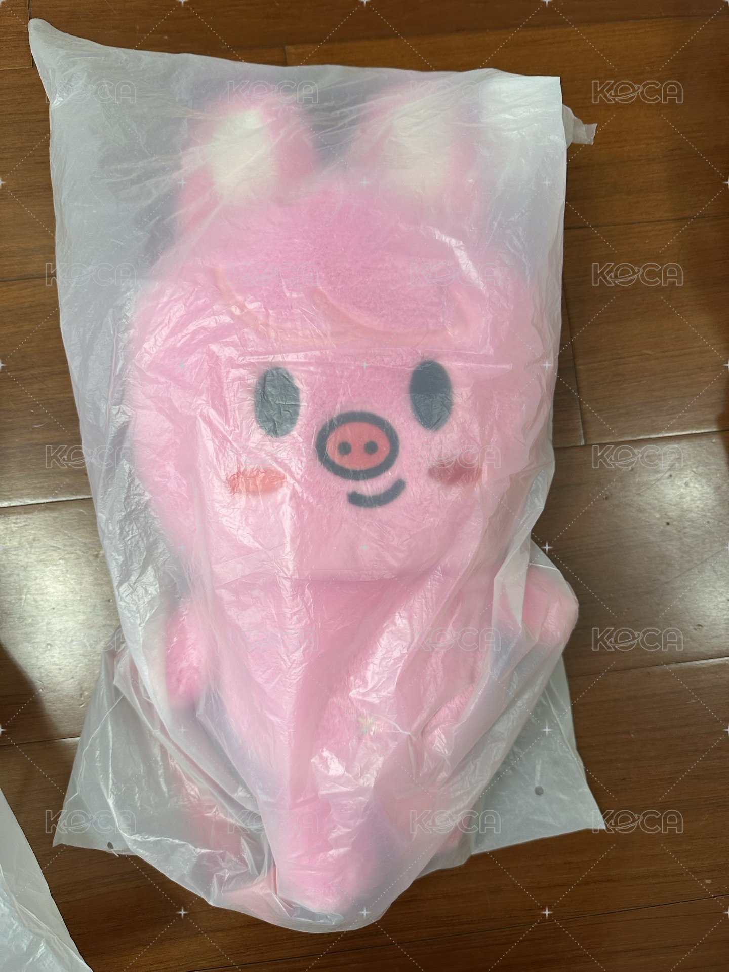 豬兔