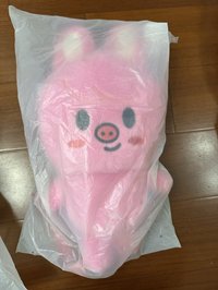豬兔