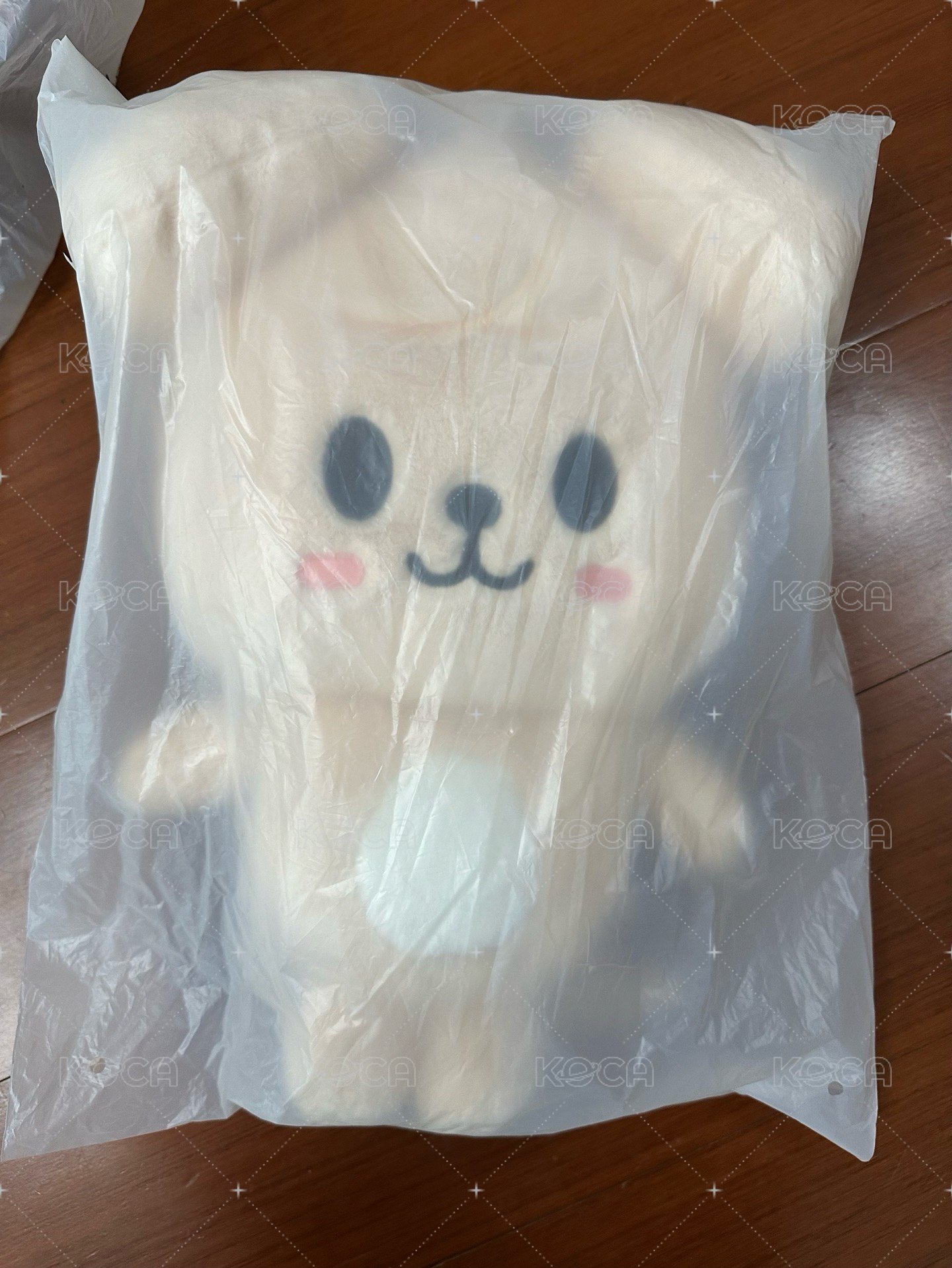 帕皮