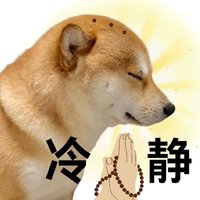 迷你龍