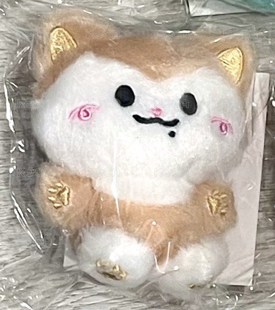 彩領（直出）