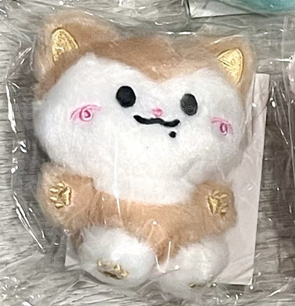 彩領（綁賣場任100卡or專）