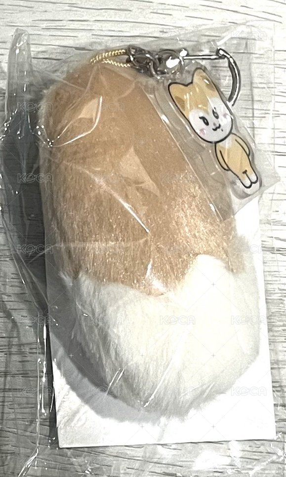 彩領