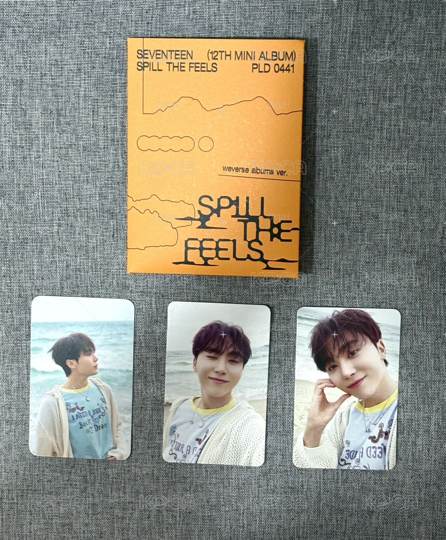 SEVENTEEN MINI12 電子專